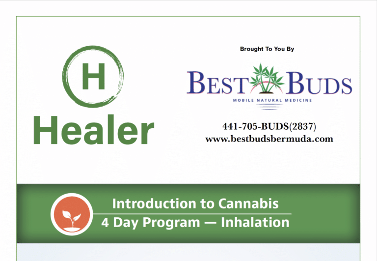 Introduction to Cannabis 4 Day Program — Inhalation