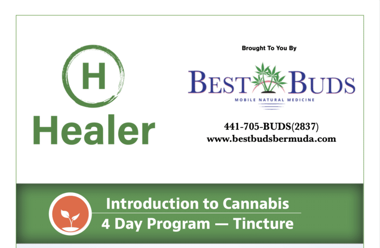 Introduction to Cannabis 4 Day Program — Tincture