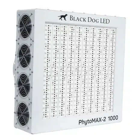 Black Dog LED PhytoMAX 2 1000